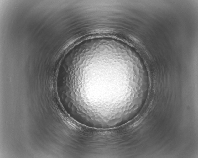 X0000060751017200512011441