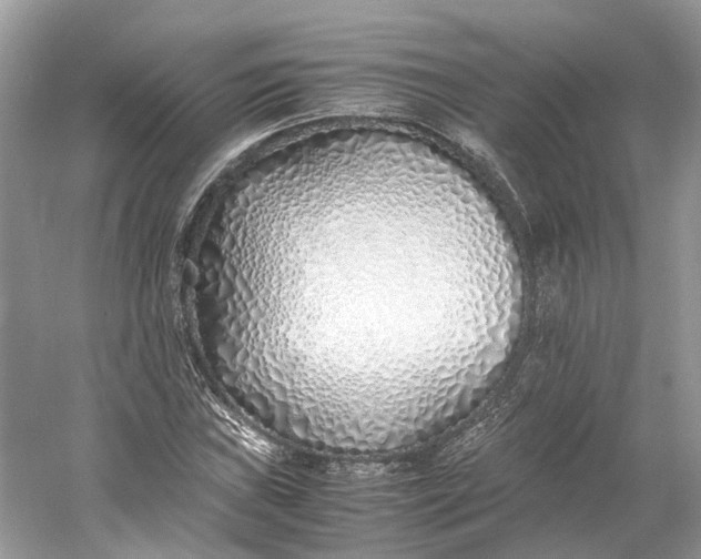X0000060751019200512011441