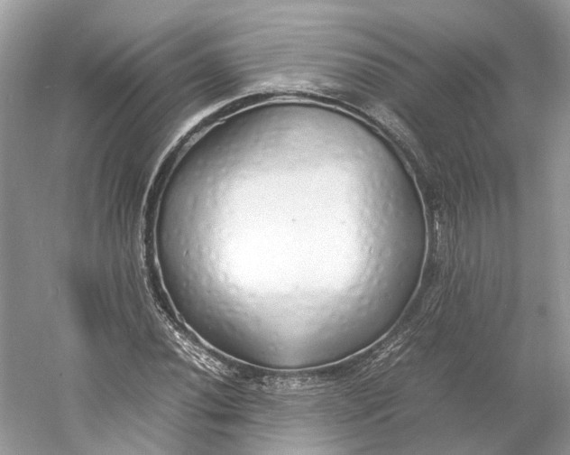 X0000060751020200512011441