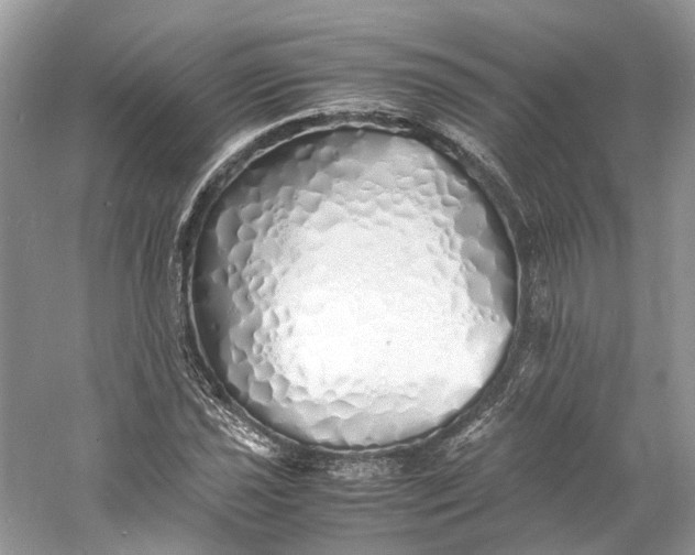 X0000060751021200512011441