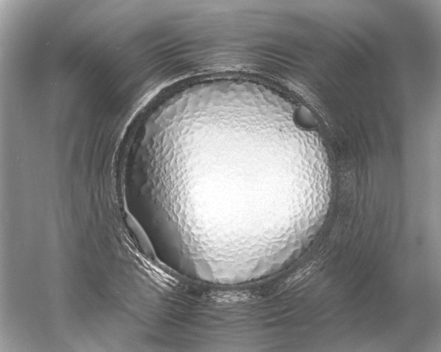 X0000060751023200512011441