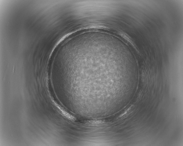 X0000060751024200512011441
