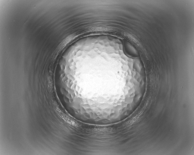 X0000060751025200512011441