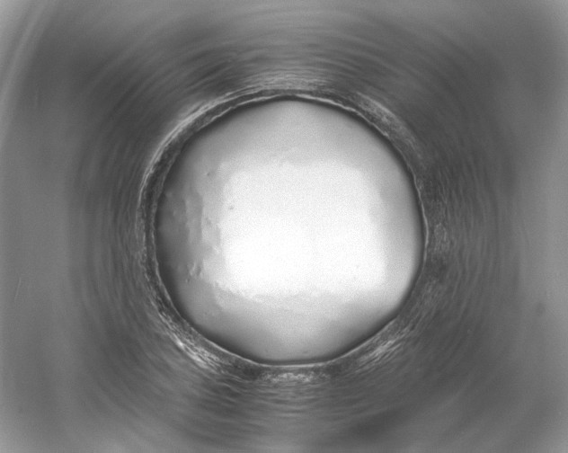 X0000060751027200512011441