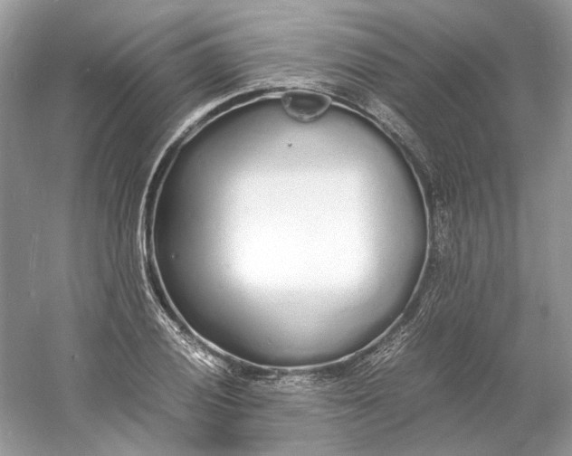 X0000060751028200512011441