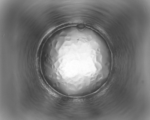 X0000060751029200512011441