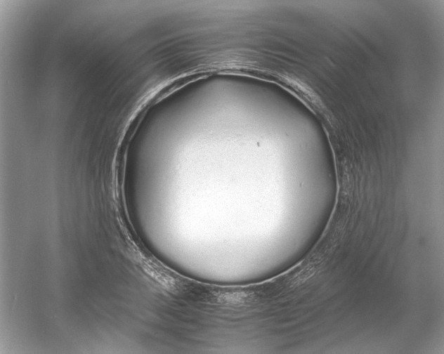 X0000060751031200512011441