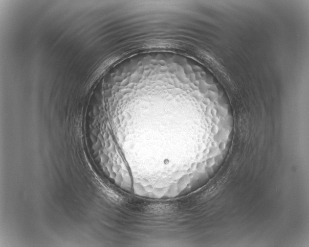X0000060751033200512011441
