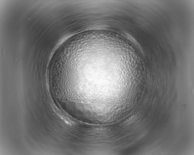 X0000060751035200512011441