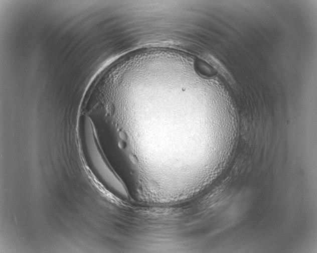 X0000060751036200512011441