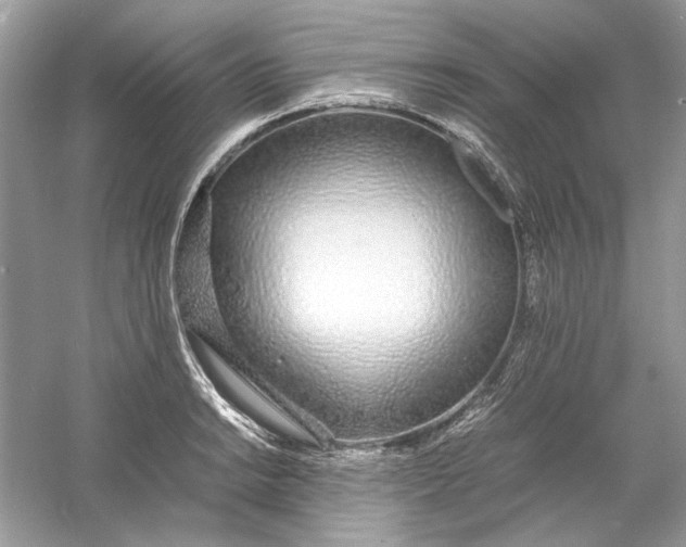 X0000060751038200512011441