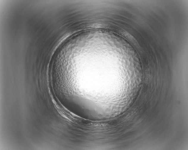 X0000060751039200512011441