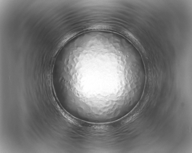 X0000060751041200512011441