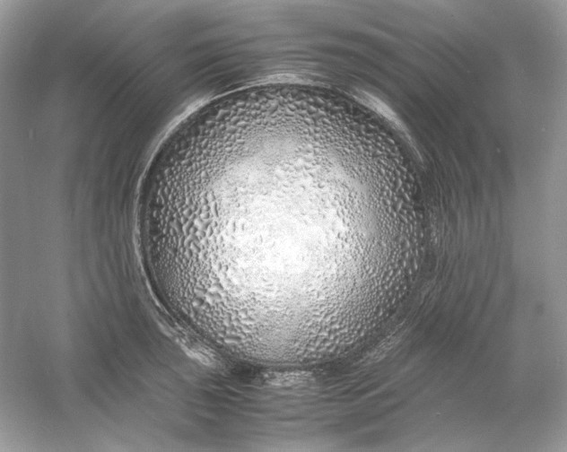 X0000060751043200512011441