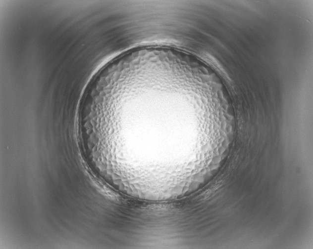 X0000060751044200512011441