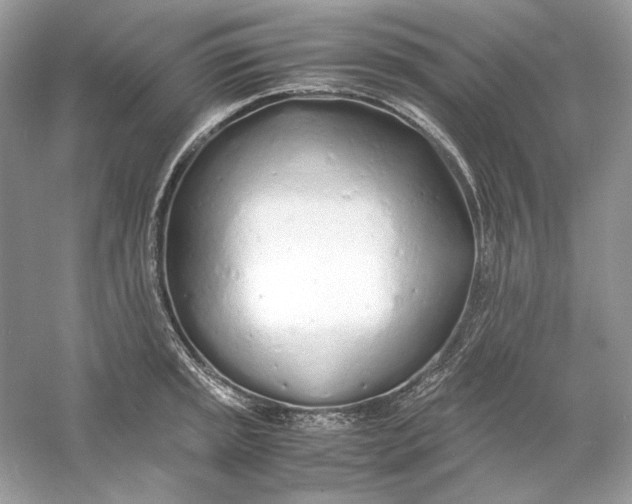 X0000060751045200512011441