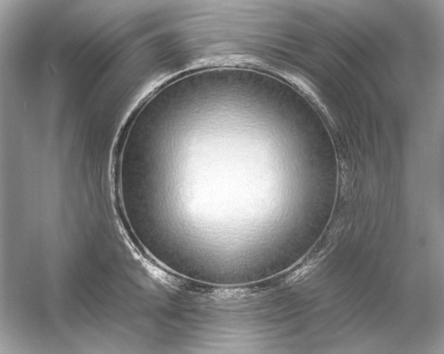 X0000060751046200512011441
