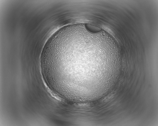 X0000060751047200512011441