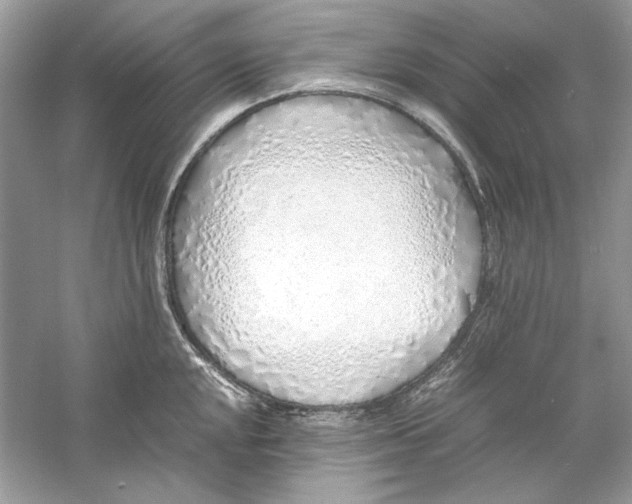 X0000060751048200512011441