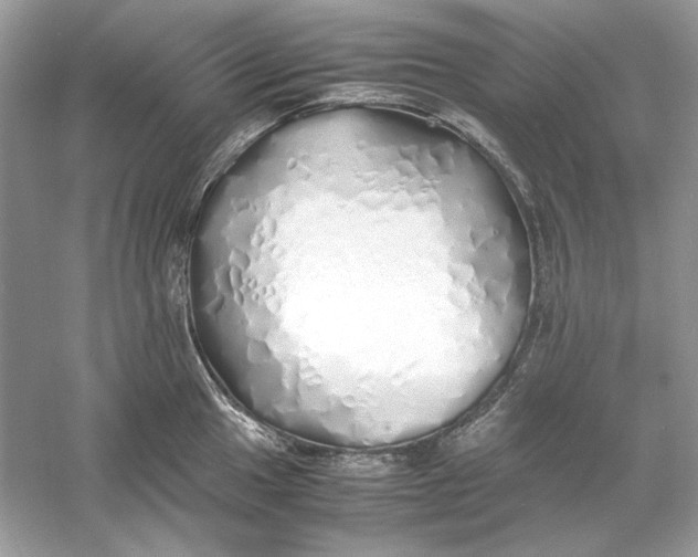 X0000060751049200512011441
