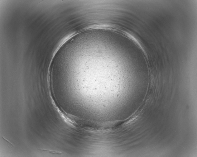 X0000060751050200512011441
