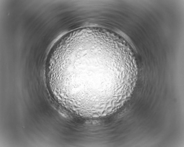 X0000060751051200512011441