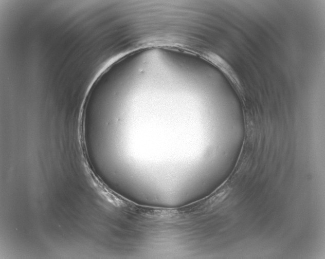 X0000060751052200512011441