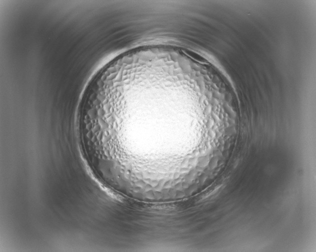 X0000060751053200512011441