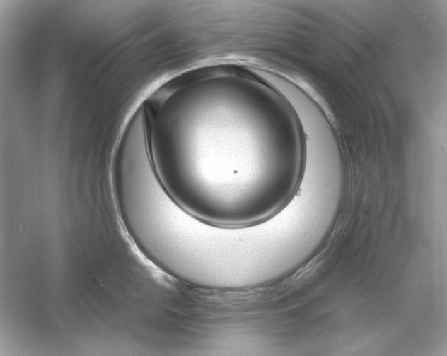 X0000060751054200512011441