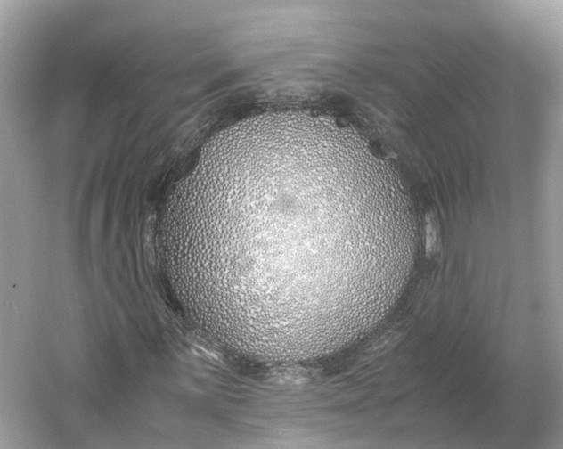 X0000060751059200512011441