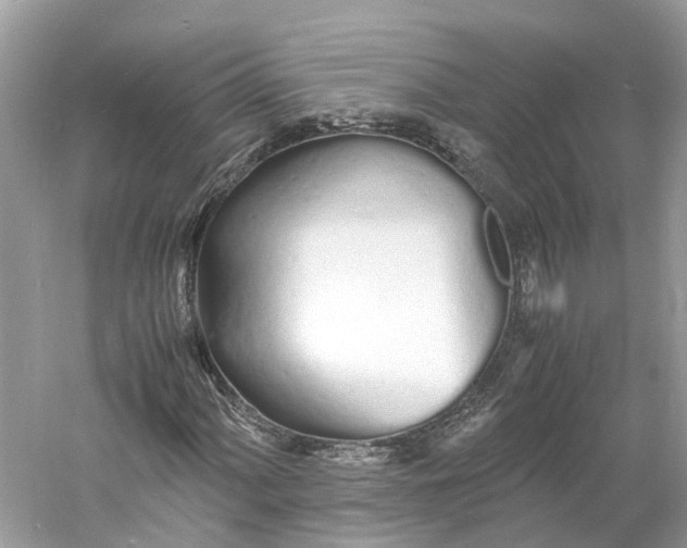 X0000060751060200512011441