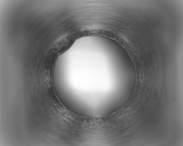 X0000060751062200512011441