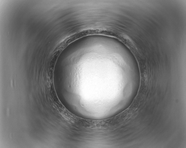 X0000060751064200512011441