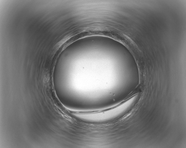 X0000060751065200512011441