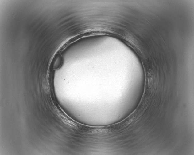 X0000060751068200512011440