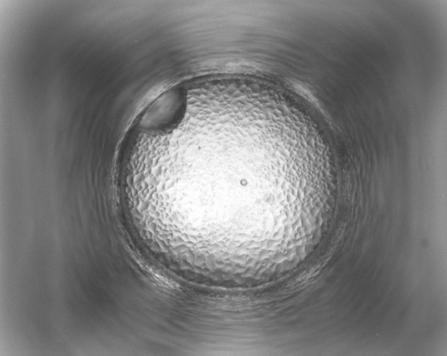 X0000060751071200512011440