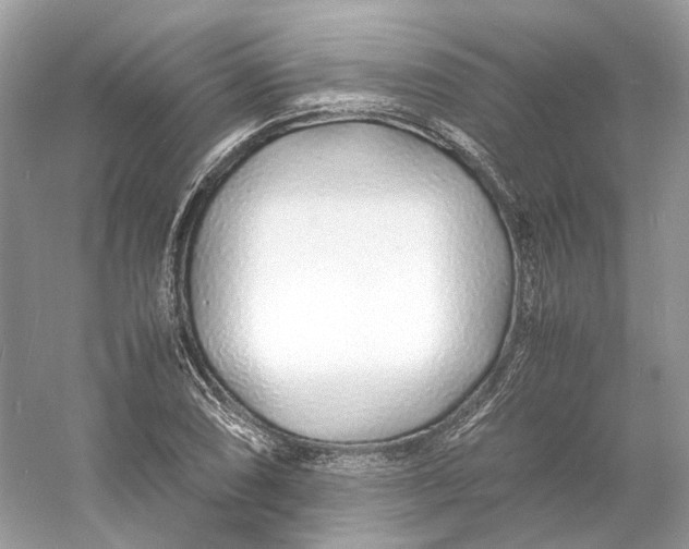 X0000060751074200512011440