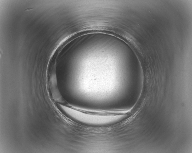 X0000060751077200512011440