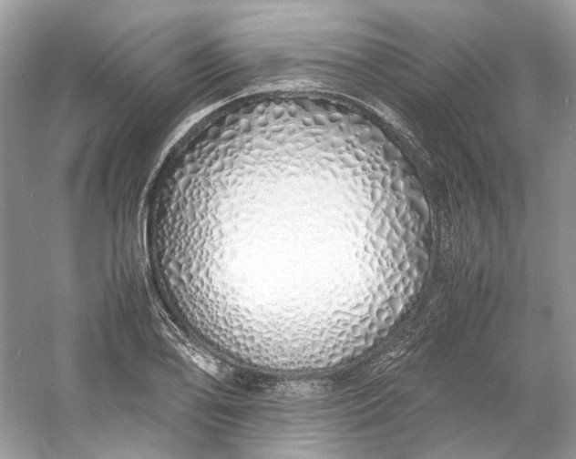 X0000060751078200512011440
