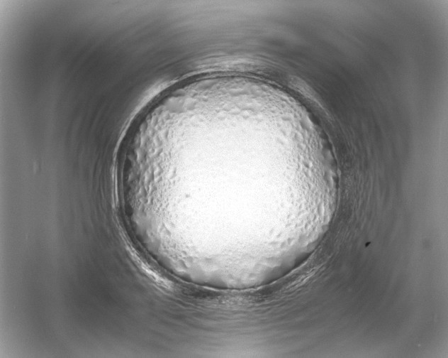 X0000060751079200512011440