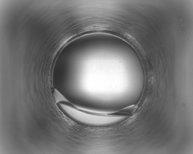X0000060751081200512011440