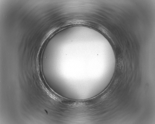 X0000060751082200512011440