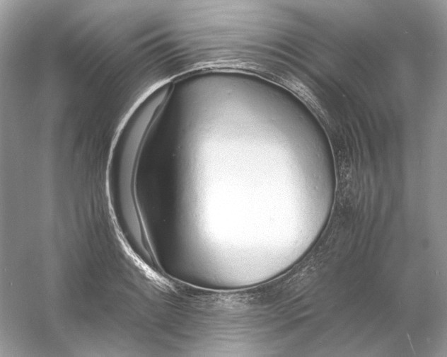 X0000060751084200512011440