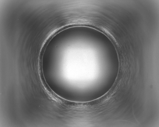 X0000060751085200512011440