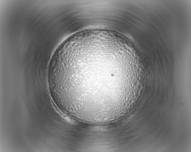 X0000060751086200512011440