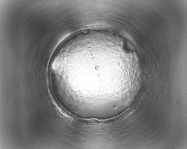 X0000060751087200512011440