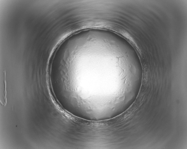 X0000060751088200512011440