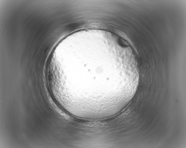 X0000060751091200512011440