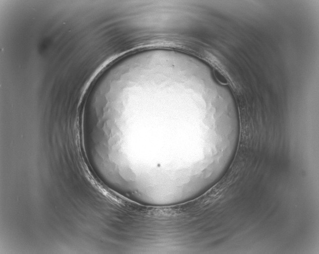 X0000060751092200512011440