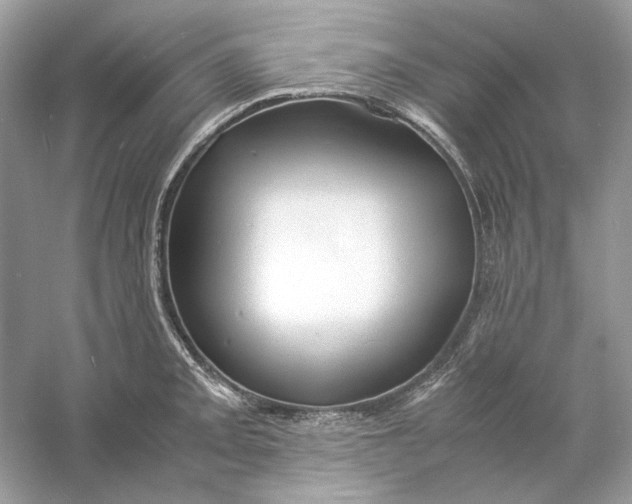 X0000060751093200512011440
